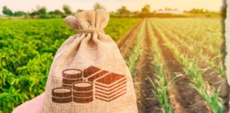 Ministerul Agriculturii: Două noi linii de finanțare din 1 septembrie; buget total de 113 milioane de euro