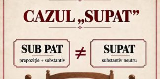 „Supat” sau „sub pat”? Lingviștii lămuresc controversa: cuvântul există în dicționare de peste 20 de ani