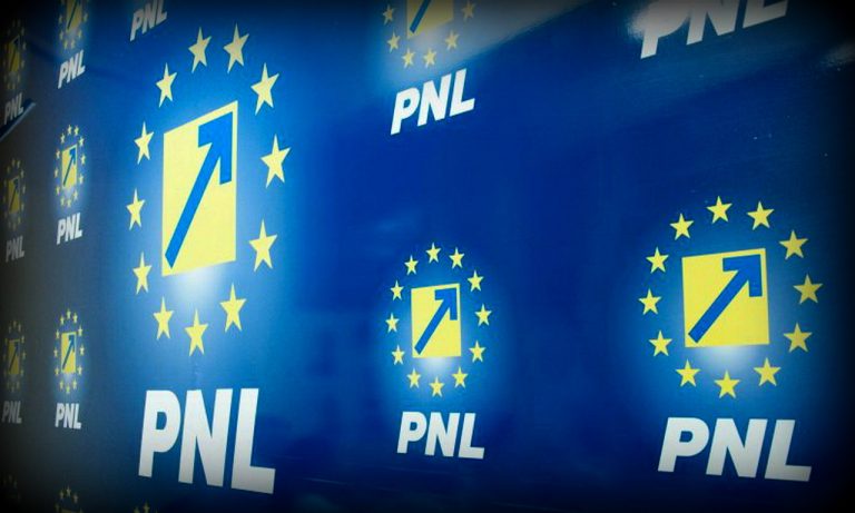 Deputat PNL: Problemele societății românești nu vor fi rezolvate printr-un limbaj licențios