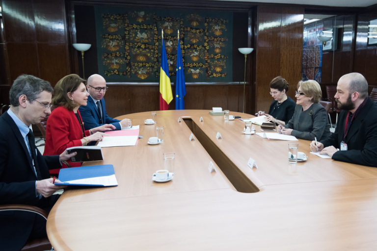 Întrevedere a Prim-ministrului Viorica Dăncilă cu ambasadorul Republicii Franceze în România