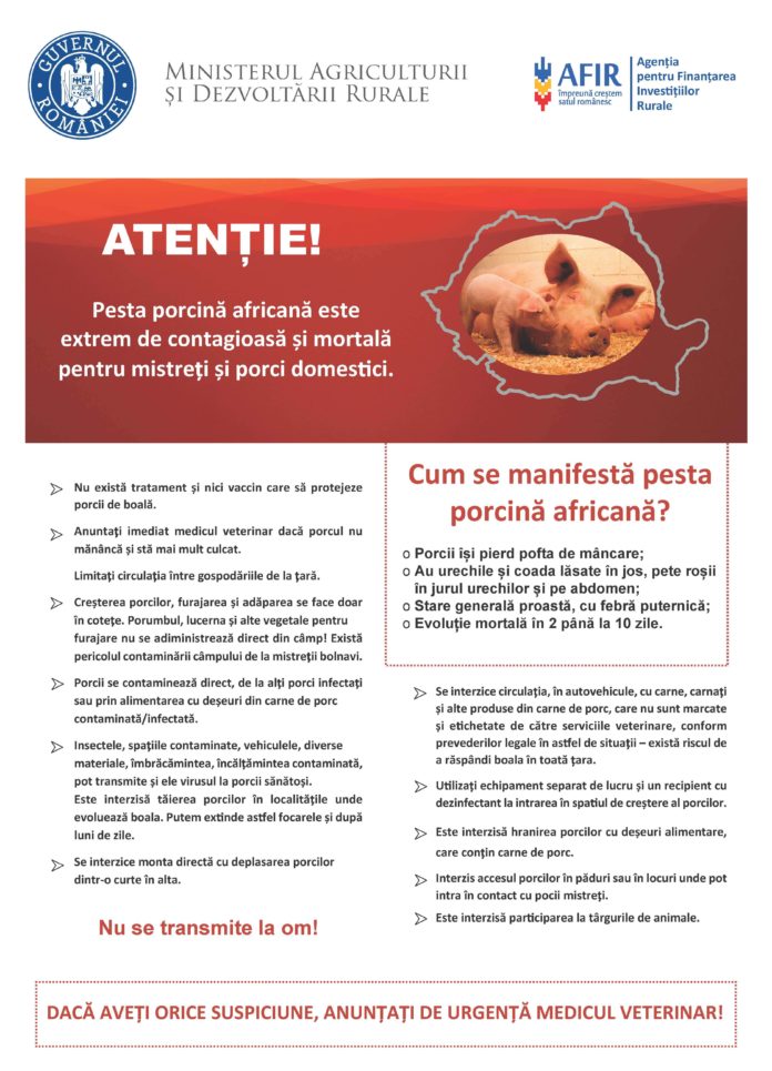 Pesta Porcina Africana