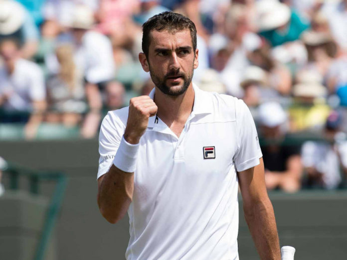 cilic