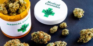 canabis medicinal