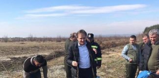 mihai weber plantare