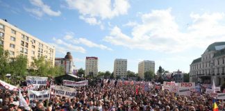 miting psd iasi