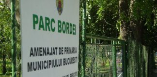 parcul bordei