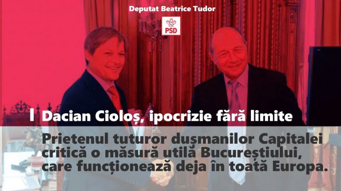 ciolos beatrice tudor