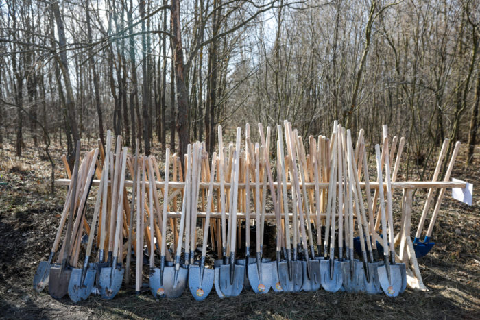 90.000 de copaci ar urma să facă parte din prima pădure comunitară din România