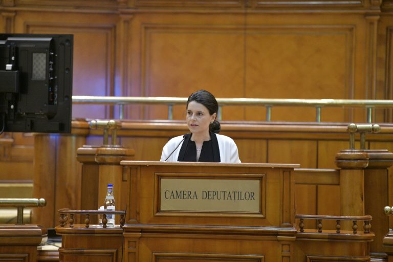 Predescu(PPU social liberal), la Comisia pentru industrii: Susțin consolidarea activelor și a companiilor din portofoliul statului, în detrimentul privatizării.