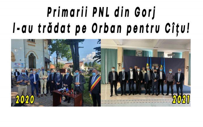 Primari PNL Gj Orban Cîțu