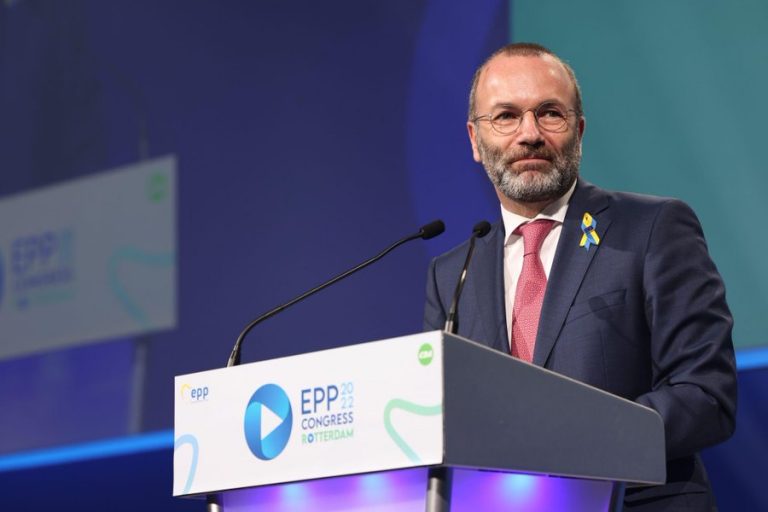 Manfred Weber a fost ales președintele Partidului Popular European