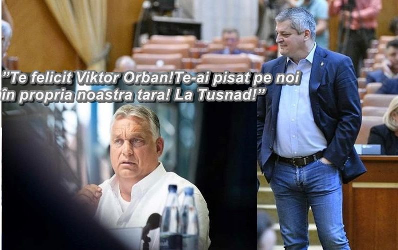 V Orban R Cristescu