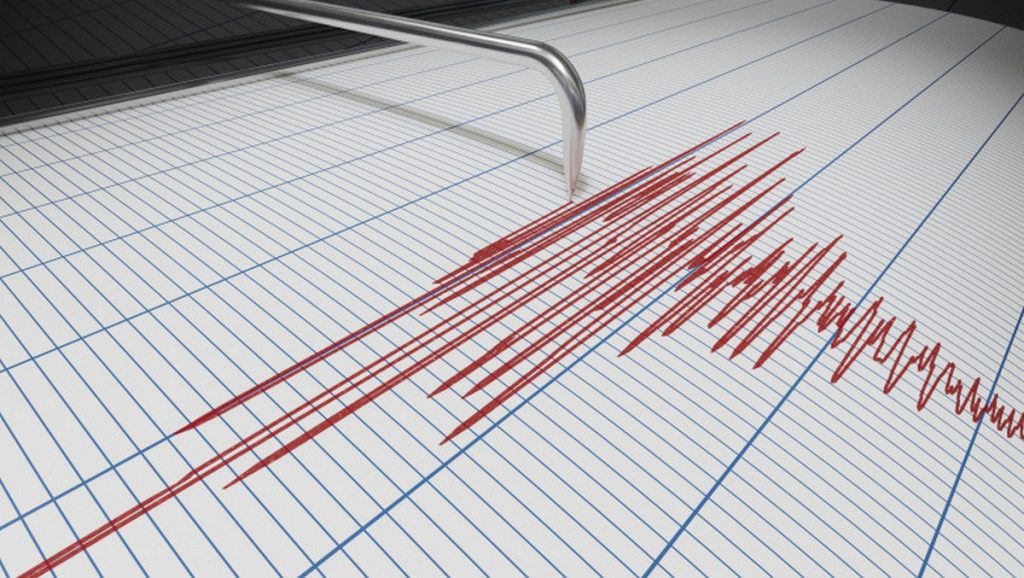 4.1-Richter-scale magnitude quake shakes Gorj county