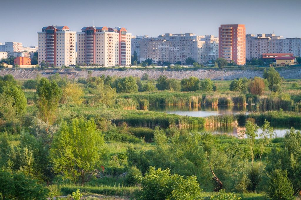 Bucharest is home to more than 200 bird species - 180 can be seen in Vacaresti Park