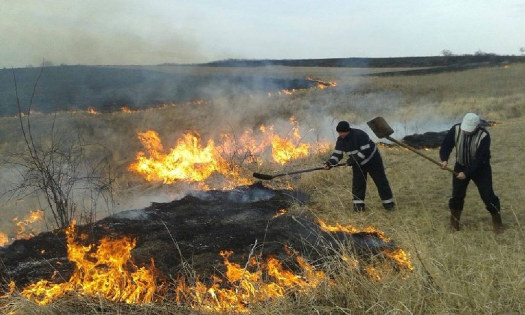 România se implică în combaterea incendiilor de vegetație din Grecia.