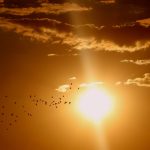 sunset 1625073 1280