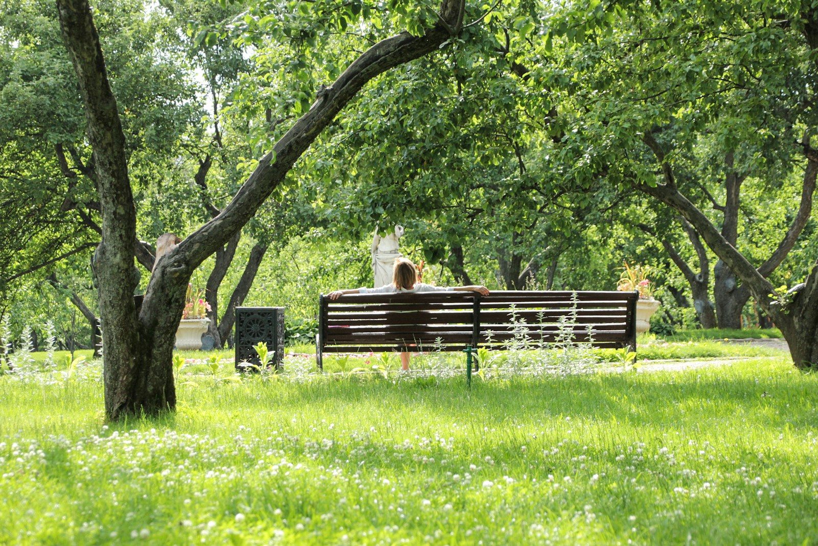 A person sitting on a bench in a park