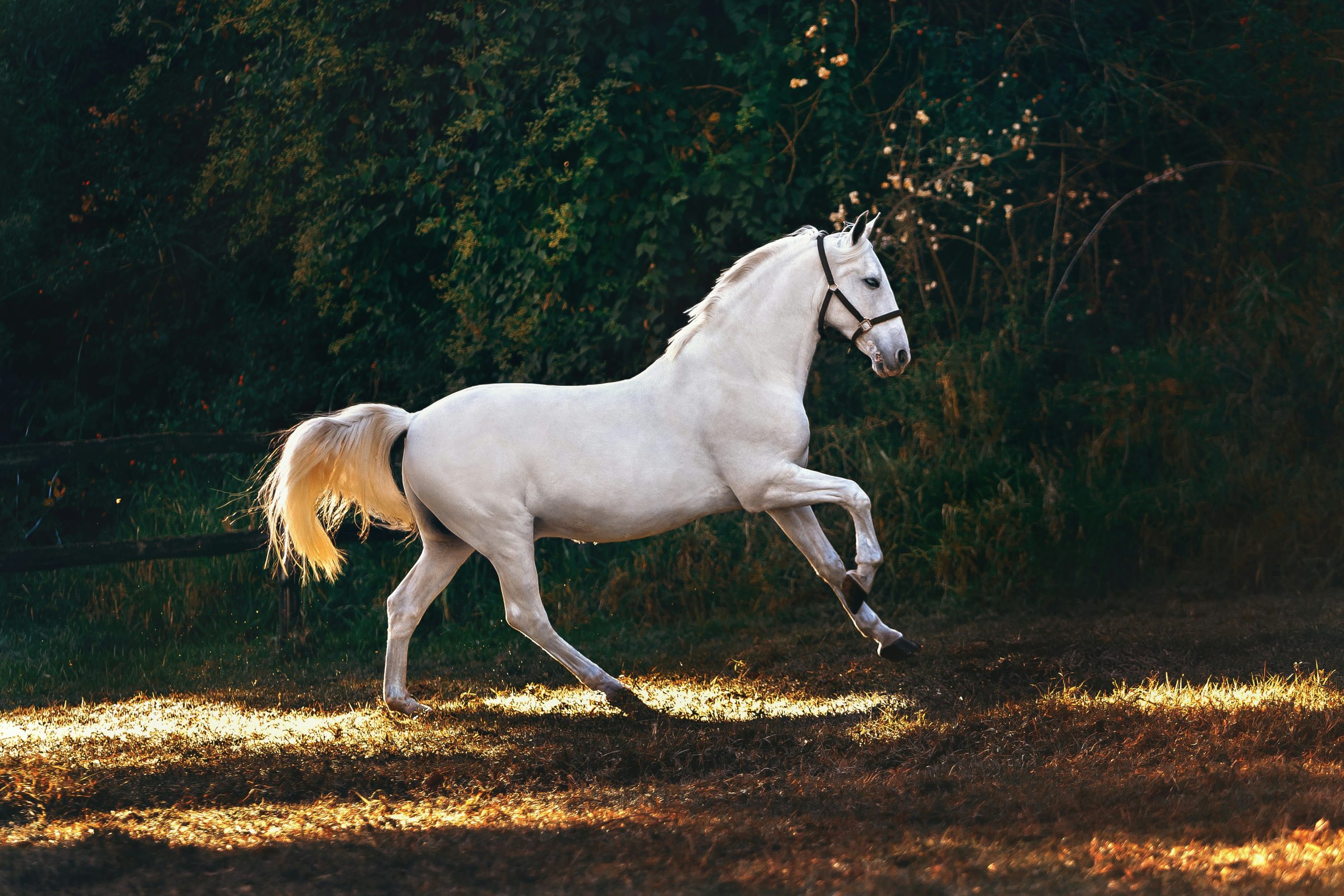 helena lopes 7FC4WpyYcfQ unsplash scaled