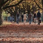 autumn 3731094 1280